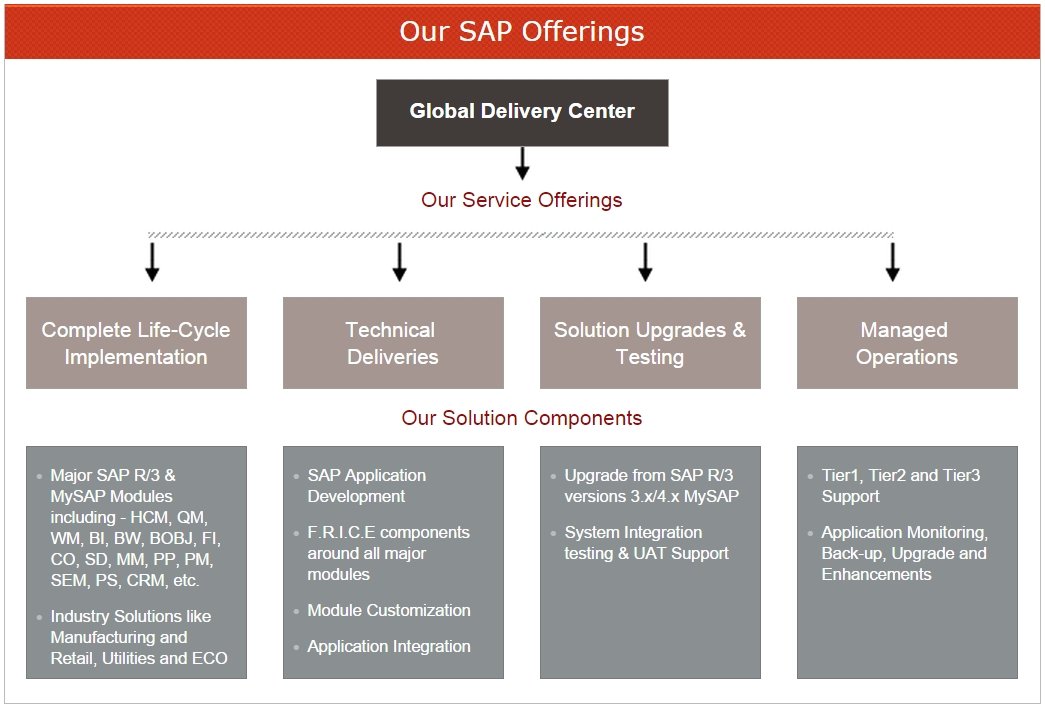 our_sap_offerings Our SAP Offerings